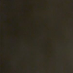 Meet your Posher, Bailey